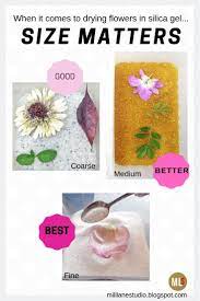 According to the activa product page, the flowers that dry best with silica include the following: Drying And Preserving Flowers For Resin How To Preserve Flowers Dried Flowers Paper Flowers Diy