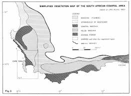 Image result for Mohria lepigera