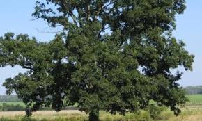 Maybe you would like to learn more about one of these? The Best Harrison Hotels From 53