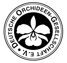 Lunch work and fact may affect the absorption of its active. Internationale Orchideenwelt Dresden