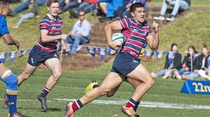 She sold a mix of wares at her booth, which included hawaiian, tongan and samoan clothing. Nrl 2020 David Fifita Jojo Fifita Dave Rennie Queensland Reds Gold Coast Titans