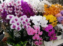 Downtown flowers on wn network delivers the latest videos and editable pages for news & events, including entertainment, music, sports, science downtown las vegas area is the name assigned by the nevada gaming control board ngcb which includes the downtown las vegas area casinos. Home