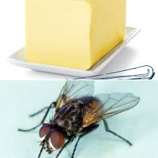 Cute and whimsical to sassy and snarky. 23 Hilarious The Butterflies Puns Punstoppable