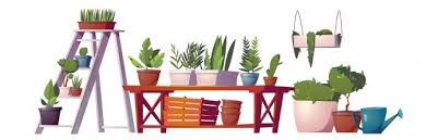 Then you've come to the right place to find a florist near meand place your order. Free Vector Greenhouse Plants Orangery Or Floristic Store Interior Stuff Garden Rack With Potted Flowers