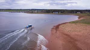 Lobster crews call for dredging after boats run aground at Savage Harbour