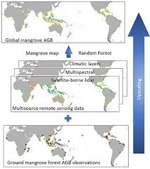 Check spelling or type a new query. Remote Sensing May 2 2020 Browse Articles