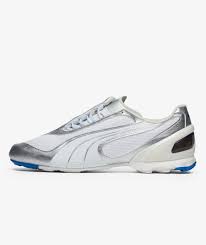Image result for Moondust Silver 2001 Puma