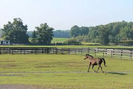 Big winner nearly dies