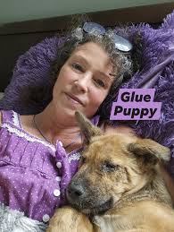 The To Do list is long but I'm plugged into my battery charging station.  #emotionalrescuedogs #rescue #specialneedsdogs