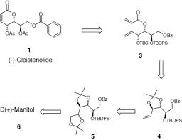 Image result for Cleistochlamys