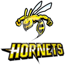 Charlotte hornets nba basketball team logo embroidery design. Hornet Mascot Logos