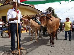 Costa rica vs guayana francesa 14 julio 2017 (3293). The 190th Annexation Of Guanacaste Day Rpm Real Estate Blog