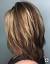 Thin Hair Feather Cut