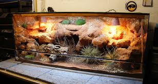 Spinifex 5x2x2 Ddreptiles Vivarium Designers