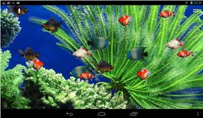 Aquarium Live Wallpaper For Android App Free Download Aquarium Live Wallpaper Live Wallpapers Android Wallpaper