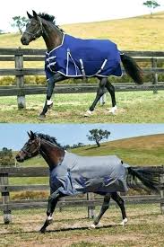 Horse Blankets For Sale Caughtintime Info