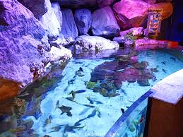 Aquaria klcc 2020 | best places to visit in kuala lumpur one of the most visited tourist attractions in kuala lumpur malaysia. Fizafantagiro Beli Tiket Murah Ke Aquaria Klcc