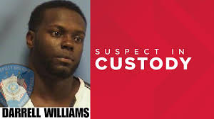 Major pill bust reveals Tapentadol distribution network