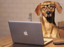 Maybe you would like to learn more about one of these? Employment Applebrook Inn Veterinary Pet Resort