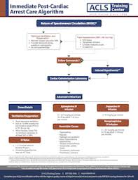 Bls Healthcare Provider Algorithm For Managing Vf And Pulseless Vt Algorithm Cardiac Catheterization Advanced Cardiac Life Support