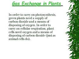 Check spelling or type a new query. What Is Transpiration Transpiration Is The Evaporation Of