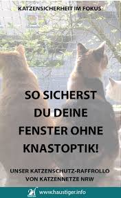 Unser Katzenschutz Raff Rollo Von Katzennetze Nrw Katzen Katzennetz Und Trinkbrunnen Katze