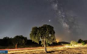Las perseidas son una de las lluvias de meteoros más conocidas y de gran actividad. Idw1tsglv71ivm