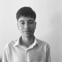 10+ "Diego Vogel" profiles