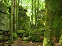Save mullerthal to your lists. Pin On European Vacation Stuff