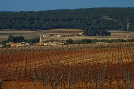 Vall D Albaida Informacion De Tu Ciudad