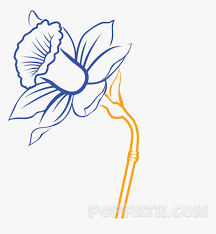 Transparent Daffodils Clipart Daffodils Flower Drawing Black And White Simple Hd Png Download Transparent Png Image Pngitem For your convenience, there is a search service on the main page of the site that would help you find images similar to simple black and white flower clipart with nescessary type and size. transparent daffodils clipart