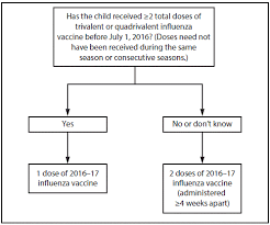 prevention and control of seasonal influenza with vaccines