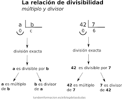Conceptos de divisibilidad - El blog de las dudas