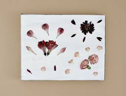 How to make a handmade holiday photo card. Diy Pressed Flowers Wall Art