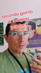 amicopappagallo #addestrarepappagalli #animali #freeflight #associazi...