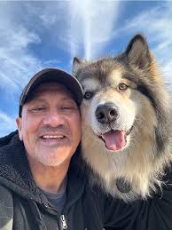 They've been broken down and...