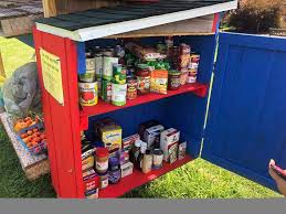 Your request belongs to the popular category. Girl Scouts Set Up Free Food Pantry In Selinsgrove Local News Dailyitem Com