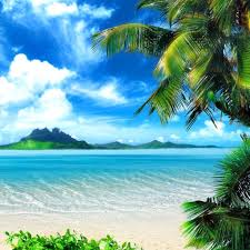 Maybe you would like to learn more about one of these? Ipad Mini Hd Summer Tropical Beach Wallpaper Hd Landscape
