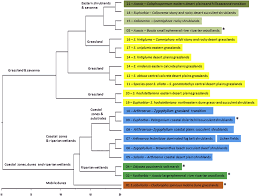 Image result for Arthraerua