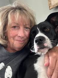 Ellie says “Mom, stop taking my picture”. 🤣🤣🤣🤣🤣🤣🤣🤣🤣🐾🐾🐾🐾❤️❤️❤️❤️