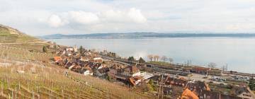 lac de bienne les 10 meilleurs hotels ou sejourner dans cette region lac de bienne suisse