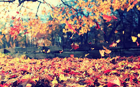 Επισήμως φθινόπωρο από σήμερα | Η ΚΑΘΗΜΕΡΙΝΗ