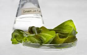 Wipe the mold with a wet sponge, before respraying the spot with baking soda solution. Algae Fuel Wikipedia
