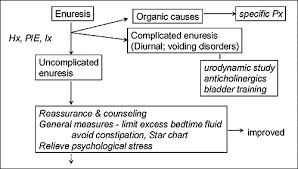 Hong Kong Journal Of Paediatrics Hk J Paediatr New Series