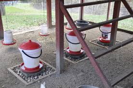 Stake the poles into the ground and connect the chicken wire to the poles to in emergency management terminology, coop is the continuity of operations plan. Diy Coop Drainage System For My Waterers Or How To Keep The Ducks From Flooding The Chicken Run Backyard Chickens Learn How To Raise Chickens