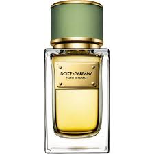 Dolce Gabbana Women S Velvet Bergamot Eau De Parfum 50ml 5 595 Uah Liked On Polyvore Featuring Beauty Products Fragra Avec Images Eau De Parfum Parfum Rose Parfum