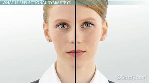This phenomenon is called mirror reflection. Reflectional Symmetry Definition Examples Video Lesson Transcript Study Com