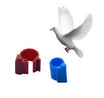 Anillos con chip RFID para palomas mensajeras con chip ...