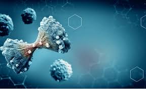 Liver cancer is on the rise in the u.s. The Difference Between Multiple Myeloma Lymphoma And Leukaemia Medanta