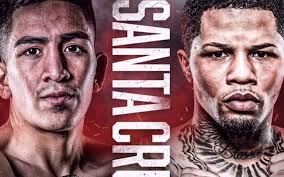 Baltimore Boxer Update